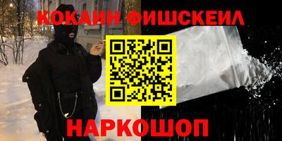 крисы Шахты
