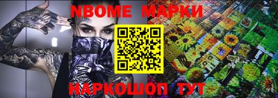 крисы Шахты