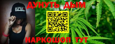 крисы Шахты