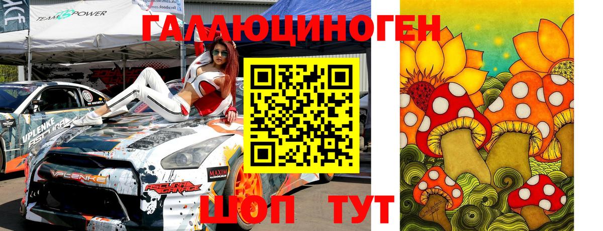 Александров  Галлюциногенные грибы мицелий  Вход с VPN 