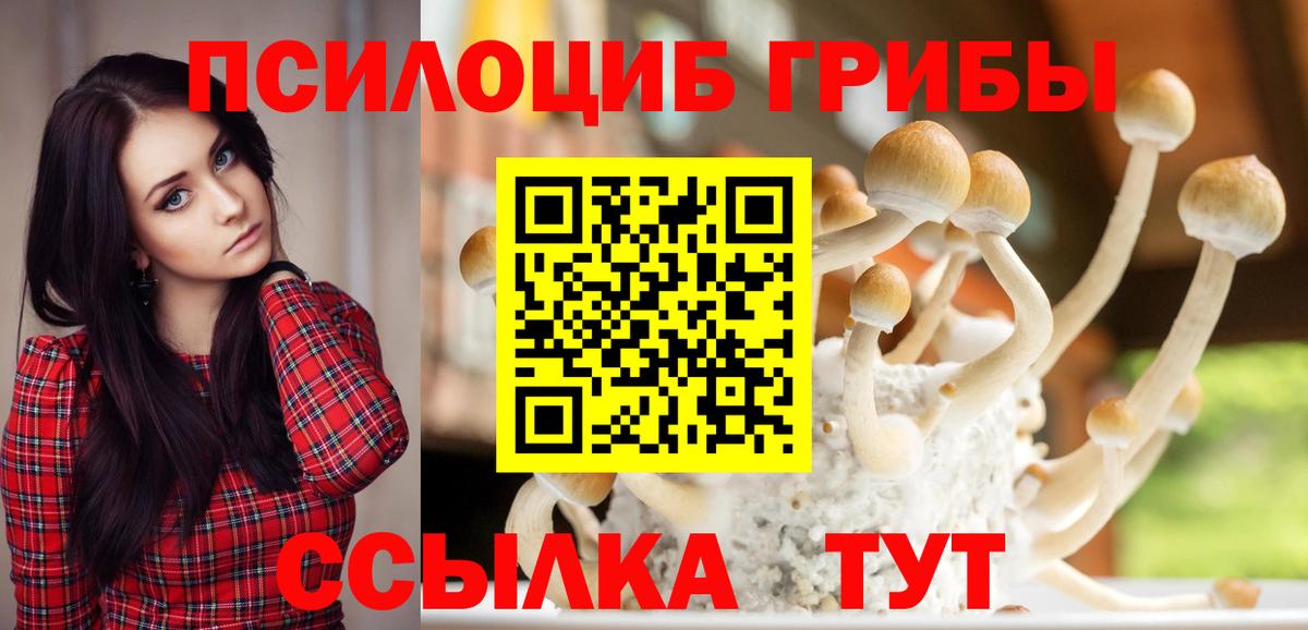 Псилоцибиновые грибы прущие грибы Александров
